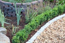 1 x 100 L Holzhackschnitzel