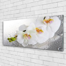 Glasbilder wandbild druck auf - druck,