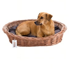 Hundebett katzenbett hundekorb - hundebett,