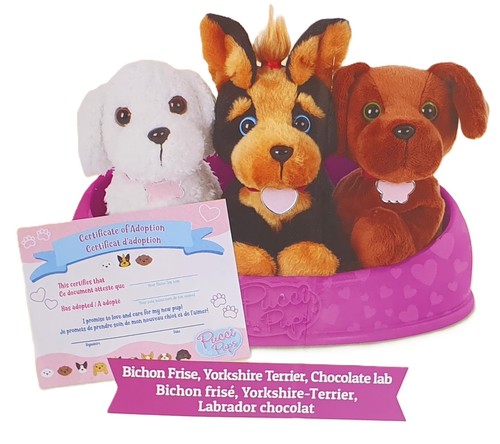 Pucci pups adopt pup - pucci, adopt-a-pup