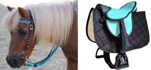 Komplettes reitsattel set - komplettes,