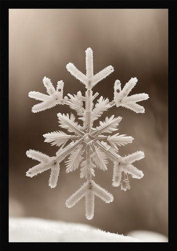 Moderne winter - moderne,