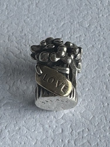 Pandora charm retired bicolor - pandora,