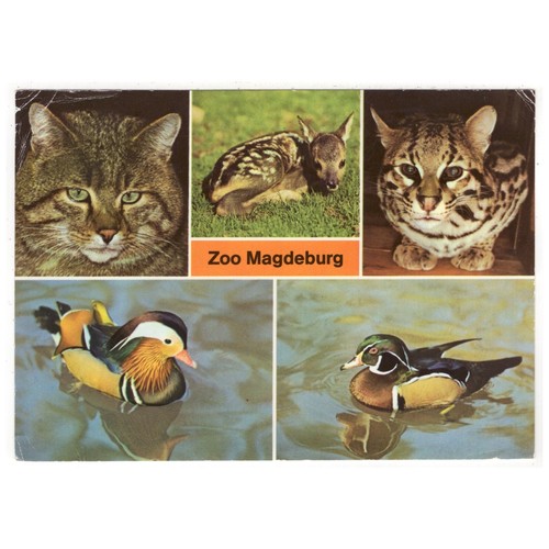 Zoologischer garten - zoologischer,