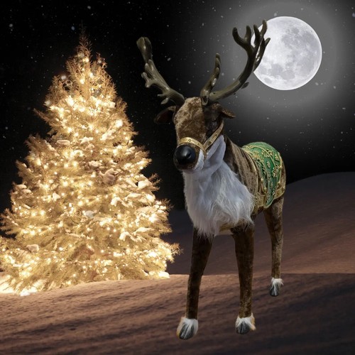 Animiertes rentier rudolf - animiertes,