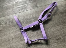 Pony Halfter