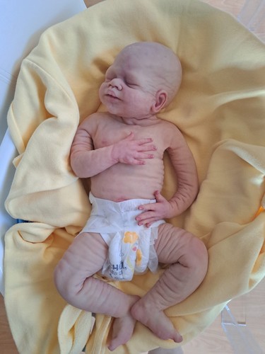 Rebornbaby - ,