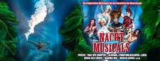 Musical Die Nacht der Musicals