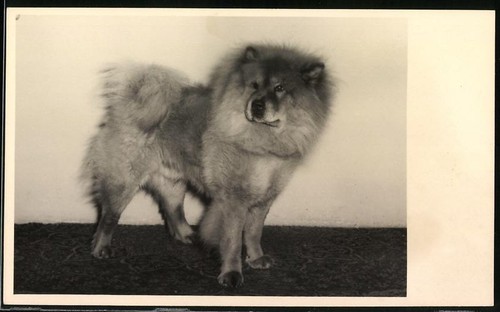 Fotografie blasius - fotografie, o.