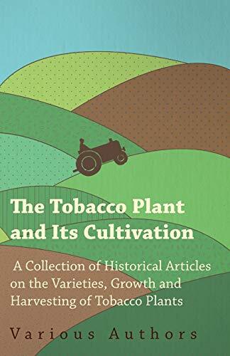 Various tobacco plant and - tobacco,