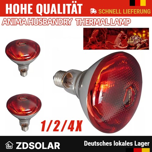 250w infrarotlampe - 1/2/4x,