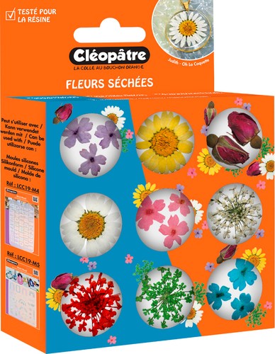 Trockenblumen sortiment 9 - sortiment,,