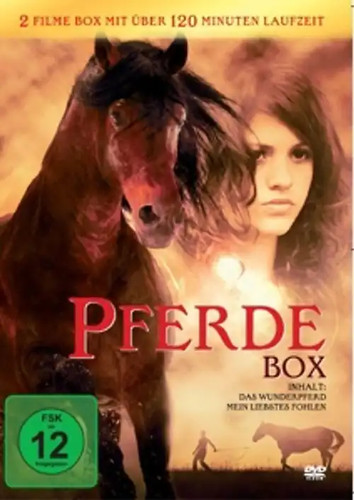 Pferde box - pferde, (2