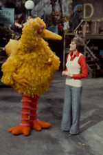 Großer Vogel, Julia Andrews