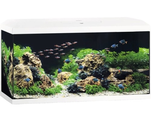 Aquarium juwel primo - aquarium, 110
