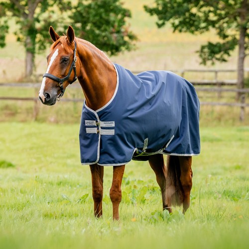 Horseware amigo ripstop 900d - horseware,