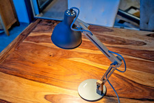 ZWEI wunderschöne  Tomons