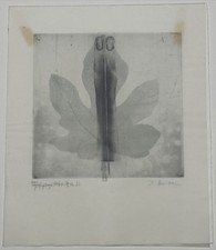 Dörte Harten, Gefingertes