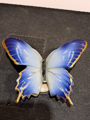 Porzellan schmetterling - porzellan,
