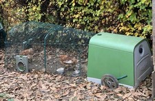 Omlet Eglu Go Zippi Hühnerstall Kleintierstall Hasenstall Kaninchenstall