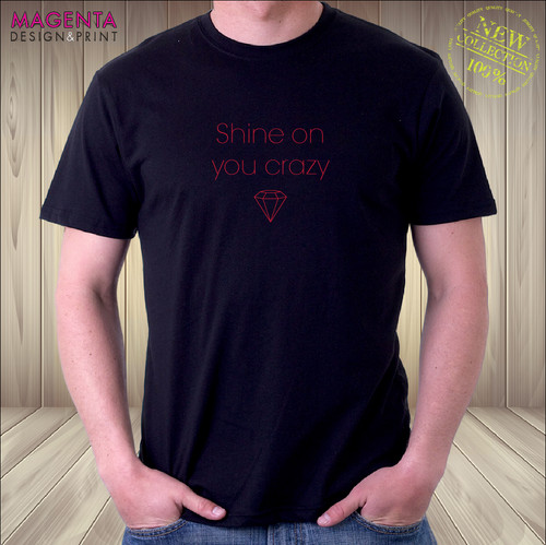 Pink floyd shine you - floyd•shine, on