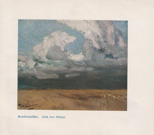 Gewitterwolken savanne - gewitterwolken,