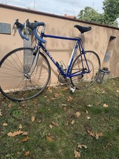 Chesini Rennrad, 40 Jahre, Superleicht