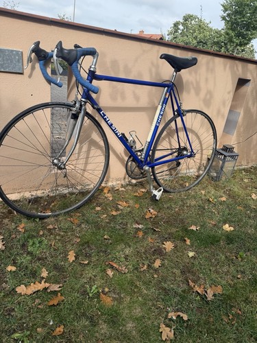 Chesini rennrad jahre - chesini, rennrad,