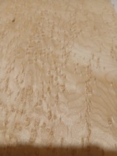 15Blatt Vogelaugenahorn