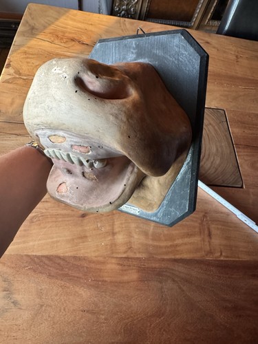 Altes lehrmodell maul und - altes,
