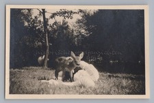 Röttersdorf Lehesten 1939 -