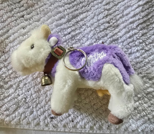 Schlüsselanhänger souvenir - schlüsselanhänger,