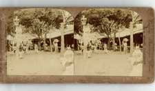 Madeira, Madeira, Obstmarkt