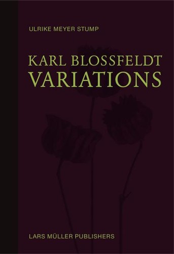 Karl blossfeldt variations - blossfeldt:,