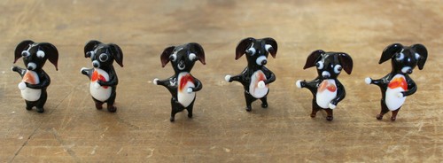 6er set hund - set, aus