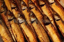 1kg Makrele Heilbutt