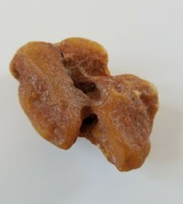 Bernstein Butterscotch 30