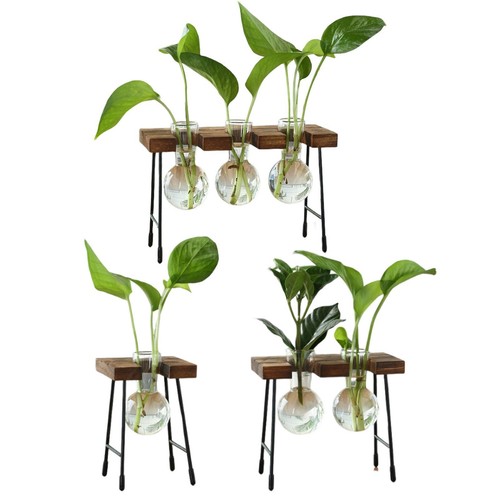 Hydroponische blumenvase - hydroponische,