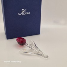 Swarovski scs tulpe - scs,