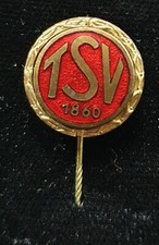 Gold Ehrennadel TV Schweinau