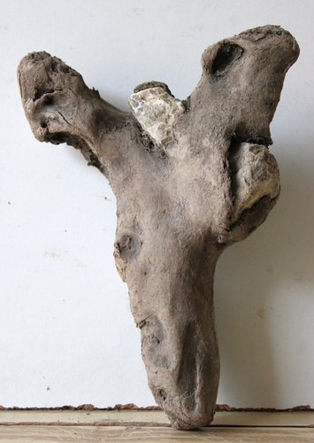 Treibholz schwemmholz - treibholz,