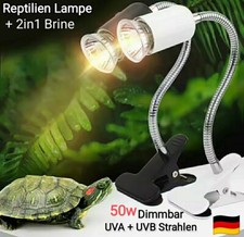 Schildkröten🐢Wärmelampe