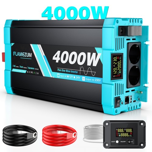2000w 4000w reiner - 2000w,