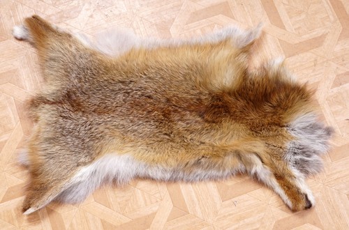 Schönes fuchsfell fox fur mit - schönes,
