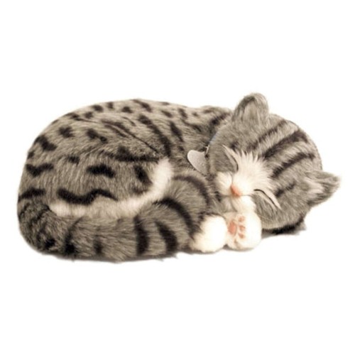 Perfect petzzz 92561 - perfect,