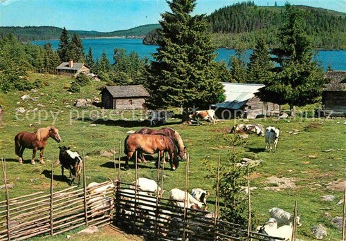 Dalarna faeboden auf - dalarna,