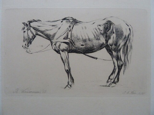 Johann adam klein1792 - johann, klein1792-1875