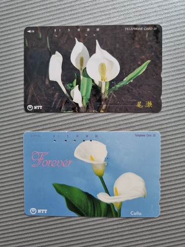 Calla telefonkarten - 2,