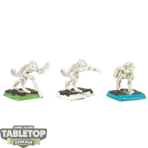 Lizardmen chameleon skinks - 3,