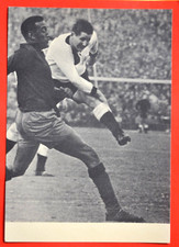 Pinguin fußball bundesliga - pinguin,